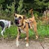Soziale GINA liebt die MenschenPLZ 64807