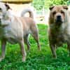 Rita und Theo