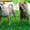 Rita und Theo