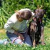 Wunderbarer jung Mischlings Hund Alex
