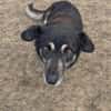 Nasti sucht ruhiges Zuhause