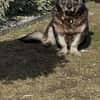 Nasti sucht ruhiges Zuhause