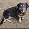 Nasti sucht ruhiges Zuhause