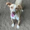 Raul, geb. ca. 05/2025, Stuttgart