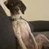 Lottie - Wirbelwind sucht Neustart