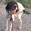 Lottie - Wirbelwind sucht Neustart