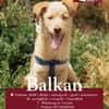 Balkan
