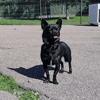 PACO