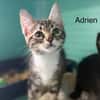 ADRIEN