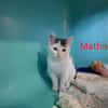 Mathilda