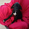 MOLLY