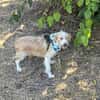 Marcy sucht ein Zuhause