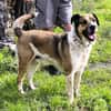 GOLFO möchte dein Leben bereichern