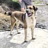 GOLFO möchte dein Leben bereichern