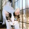 Bluey & Nouar suchen ihr gemeinsames Zuhause
