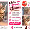 NYSSA (Réservée)