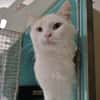 Princy (reservé)