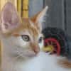 KIMY (réservée)