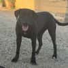 EVELIN (Los Reyes)