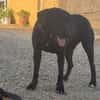 EVELIN (Los Reyes)