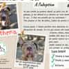 Athéna