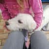 Charlie