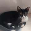 *reserviert* Lustige Kira  (Bea)
