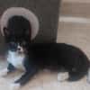 *reserviert* Lustige Kira  (Bea)