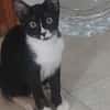 *reserviert* Lustige Kira  (Bea)
