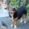 Kleine Klara sucht liebevolles Zuhause