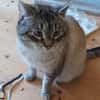 Mobby unser Romeo