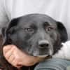 Douce - sehr verspielt u. kinderlieb