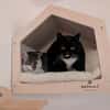Ebba & Wilma - nicht gesucht -