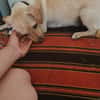 Lucy  sucht Menschen mit Herz