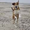 Polly sucht ihren sicheren Hafen