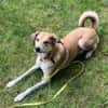 Polly sucht ihren sicheren Hafen