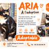 ARIA (Réservée)