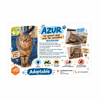 AZUR