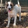 MYRTE (en cours d'adoption)