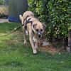 Luca sucht seine Familie