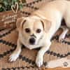 Gretel sucht ihre Familie
