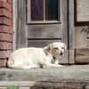 Gretel sucht ihre Familie