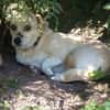 Gretel sucht ihre Familie