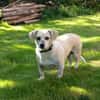 Gretel sucht ihre Familie