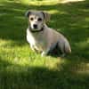 Gretel sucht ihre Familie