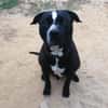 Ares