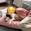 Nolito -aktiv, neugierig und clever-