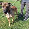 ZEPHYR