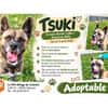 TSUKI