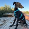 LUNA (Martina)